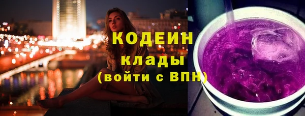 индика Сафоново