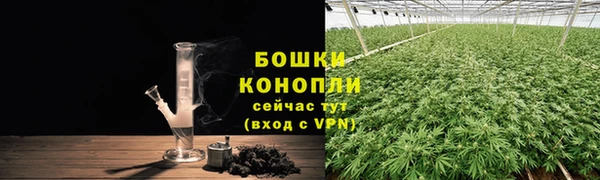 дмт Белокуриха