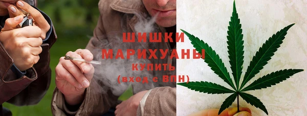 дмт Белокуриха