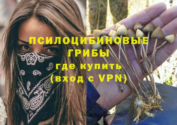 дмт Белокуриха