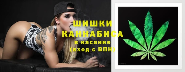 дмт Белокуриха