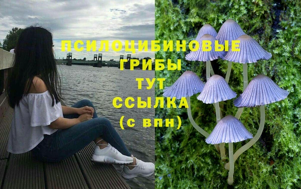 дмт Белокуриха