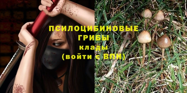 дмт Белокуриха