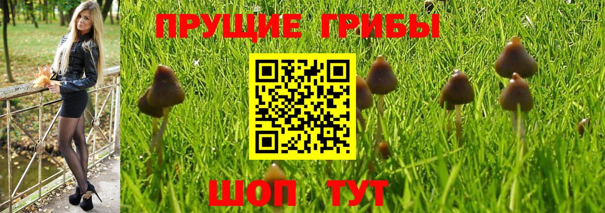 Галлюциногенные грибы MAGIC MUSHROOMS  Вход с VPN  Лыткарино  купить закладку  Галлюциногенные грибы MAGIC MUSHROOMS 